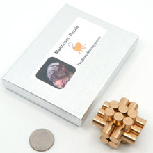 Load image into Gallery viewer, Marmoset interlocking thirteen piece metal puzzle and box.
