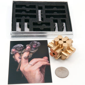Marmoset brass puzzle together with information card and custom packing box.